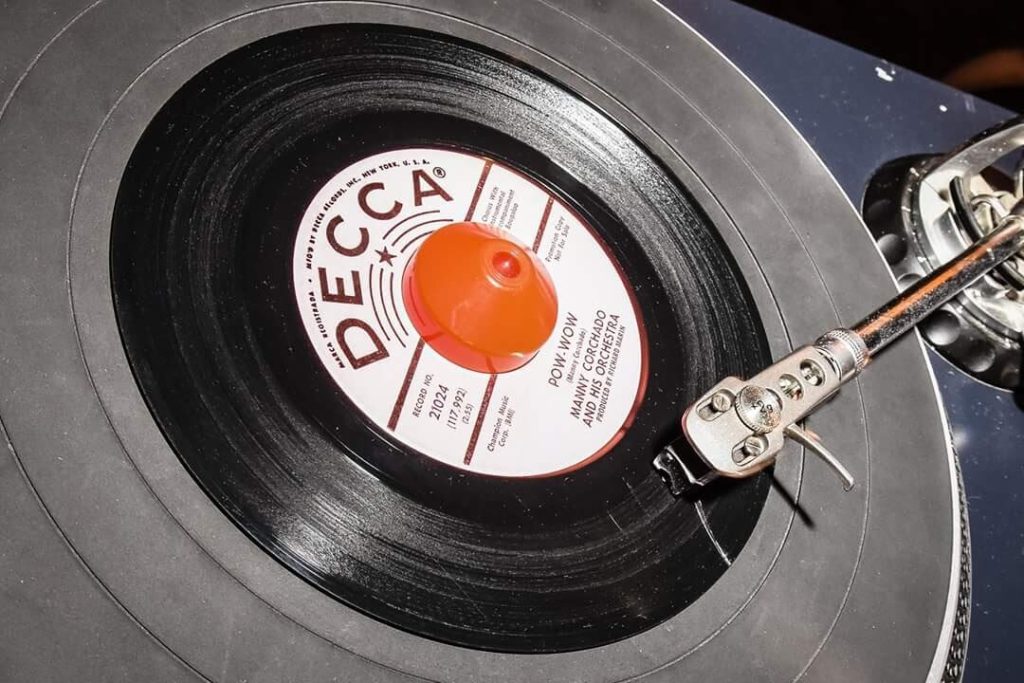 New Forest Soul Alldayer